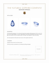 1.23 Ct. Blue Sapphire from Ceylon (Sri Lanka) Appraisal