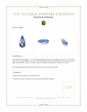 1.13 Ct. Blue Sapphire from Ceylon (Sri Lanka) Appraisal