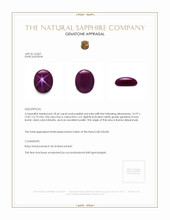 18.65 Ct. Star Ruby from Burma (Myanmar) Appraisal
