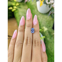 1.97 Ct. Blue Sapphire from Ceylon (Sri Lanka) Life Style