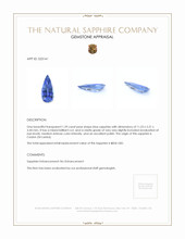 1.39 Ct. Blue Sapphire from Ceylon (Sri Lanka) Appraisal