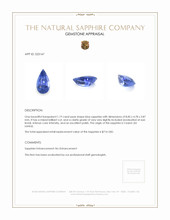 1.19 Ct. Blue Sapphire from Ceylon (Sri Lanka) Appraisal