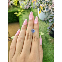 1.61 Ct. Blue Sapphire from Ceylon (Sri Lanka) Life Style