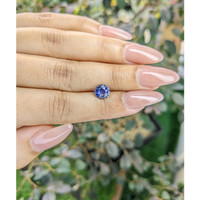 1.62 Ct. Bi Color Sapphire from Ceylon (Sri Lanka) Life Style