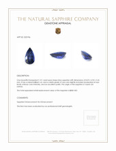1.01 Ct. Blue Sapphire from Ceylon (Sri Lanka) Appraisal