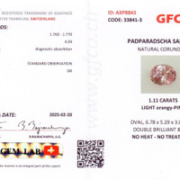 Jewelry Scan Report