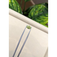 1.47 Ct. Yellowish Green Sapphire from Ceylon (Sri Lanka) Life Style