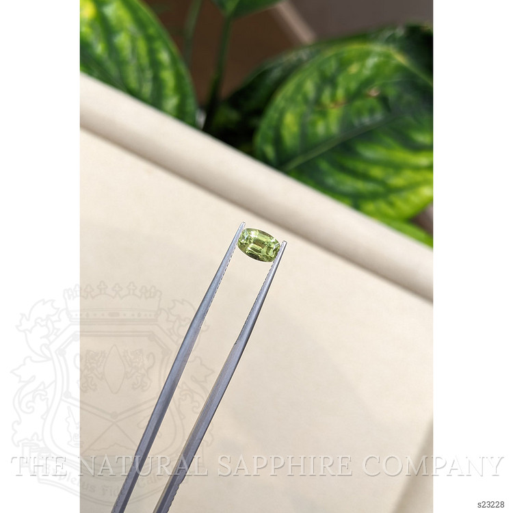 1.47 Ct. Yellowish Green Sapphire from Ceylon (Sri Lanka)