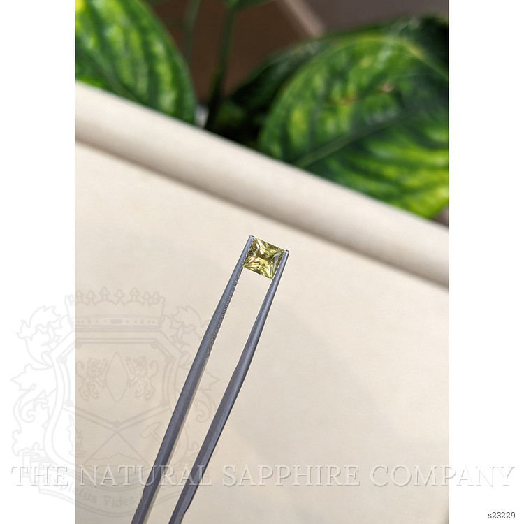 0.82 Ct. Greenish Yellow Sapphire from Ceylon (Sri Lanka)