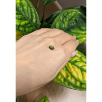 1.32 Ct. Sapphire from Australia Life Style