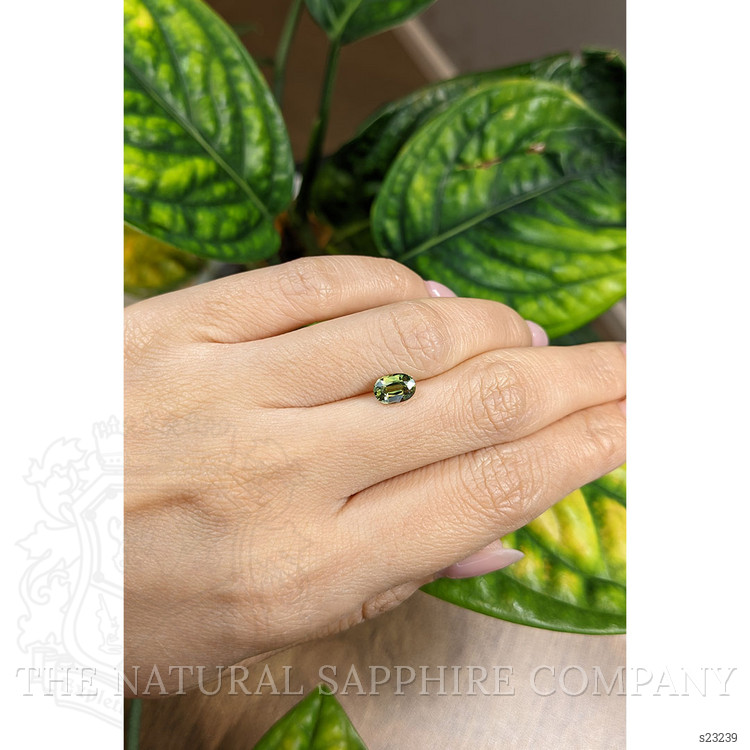 1.32 Ct. Yellowish Green Sapphire from Australia
