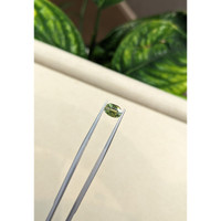 1.32 Ct. Sapphire from Australia Life Style