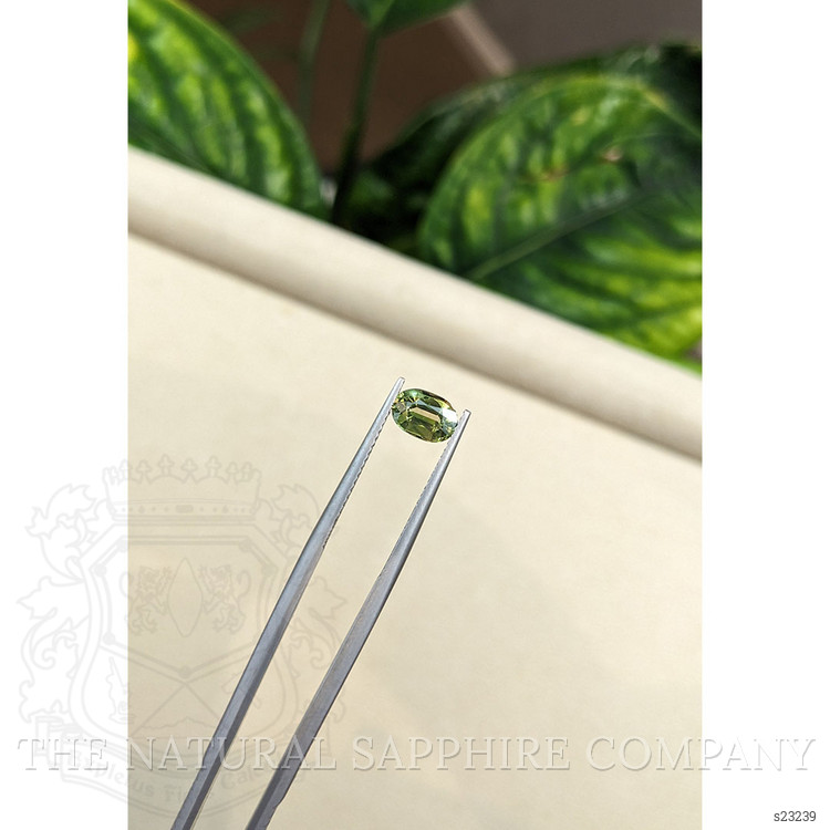 1.32 Ct. Yellowish Green Sapphire from Australia