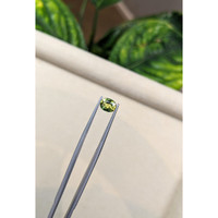 1.16 Ct. Sapphire from Australia Life Style