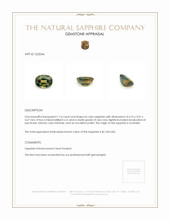 Jewelry Appraisal