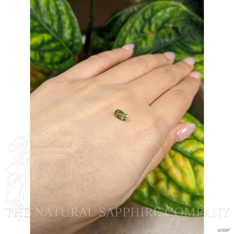 0.98 Ct. Green Sapphire from Ceylon (Sri Lanka)
