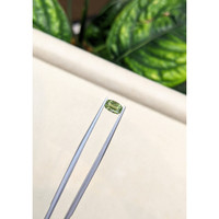 0.98 Ct. Green Sapphire from Ceylon (Sri Lanka) Life Style