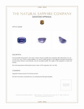 1.06 Ct. Purplish Blue Sapphire from Ceylon (Sri Lanka) Appraisal