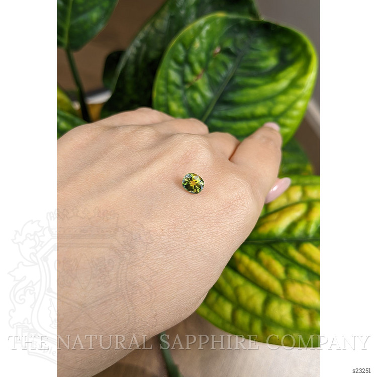 1.22 Ct. Yellowish Green Sapphire from Australia