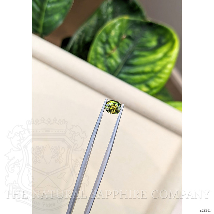 1.22 Ct. Yellowish Green Sapphire from Australia