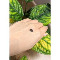 1.48 Ct. Brown Sapphire from Ceylon (Sri Lanka) Life Style