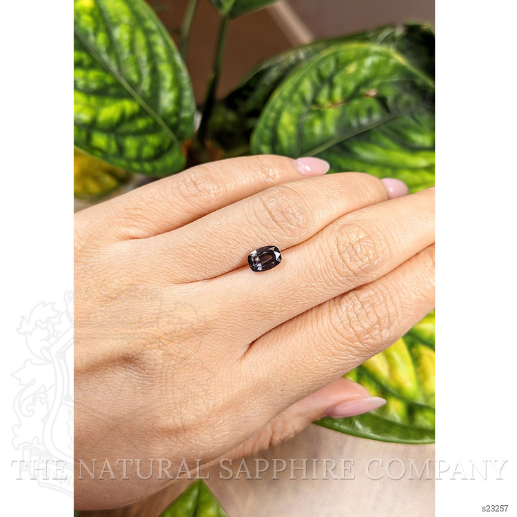 1.48 Ct. Brown Sapphire from Ceylon (Sri Lanka)