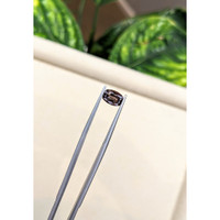 1.48 Ct. Brown Sapphire from Ceylon (Sri Lanka) Life Style