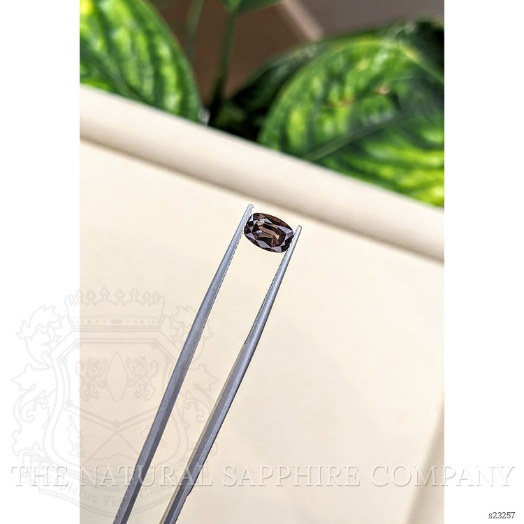 1.48 Ct. Brown Sapphire from Ceylon (Sri Lanka)