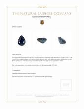0.98 Ct. Blue Sapphire from Africa Appraisal