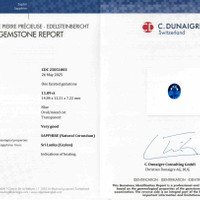 11.10 Ct. Blue Sapphire from Ceylon (Sri Lanka) Scan Report