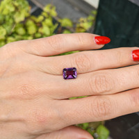 3.31 Ct. Purple Sapphire from Ceylon (Sri Lanka) Life Style