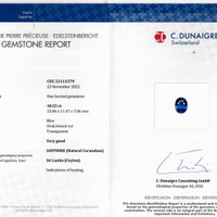10.55 Ct. Blue Sapphire from Ceylon (Sri Lanka) Scan Report