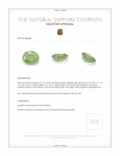 10.19 Ct. Green Sapphire from Madagascar Appraisal