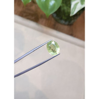 10.19 Ct. Green Sapphire from Madagascar Life Style