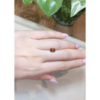 1.61 Ct. Orangish Brown Sapphire from Madagascar Life Style