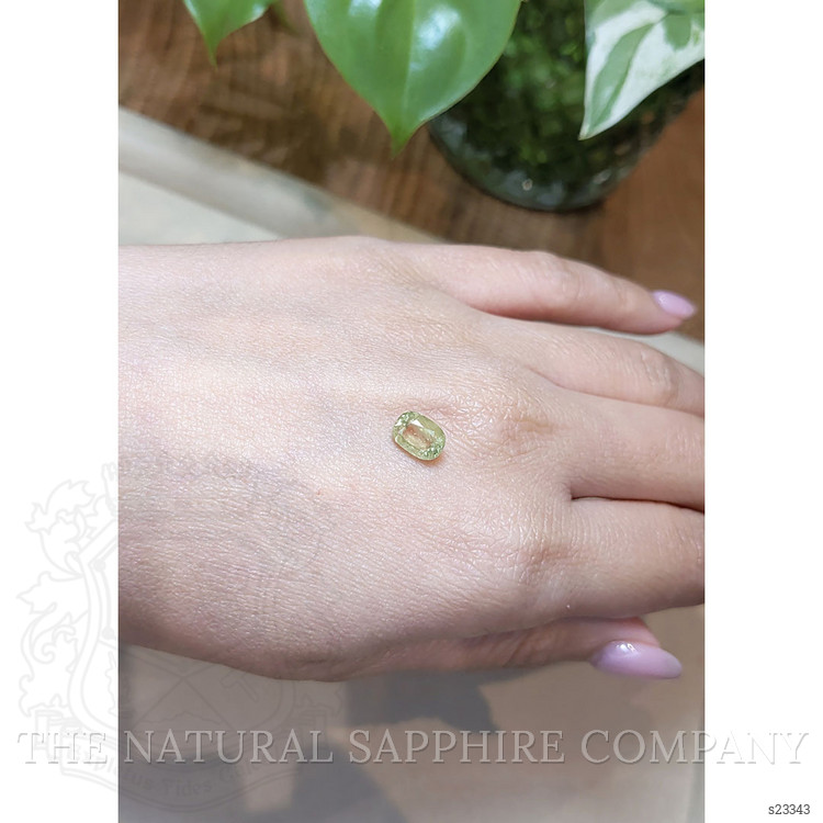 2.19 Ct. Yellowish Green Sapphire from Ceylon (Sri Lanka)