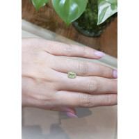 2.19 Ct. Yellowish Green Sapphire from Ceylon (Sri Lanka) Life Style