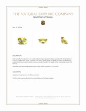 1.24 Ct. Greenish Yellow Sapphire from Ceylon (Sri Lanka) Appraisal