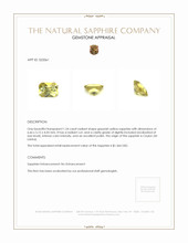 1.24 Ct. Greenish Yellow Sapphire from Ceylon (Sri Lanka) Appraisal