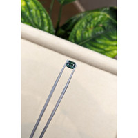 1.53 Ct. Sapphire from Madagascar Life Style