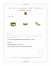 1.35 Ct. Yellowish Green Sapphire from Ceylon (Sri Lanka) Appraisal