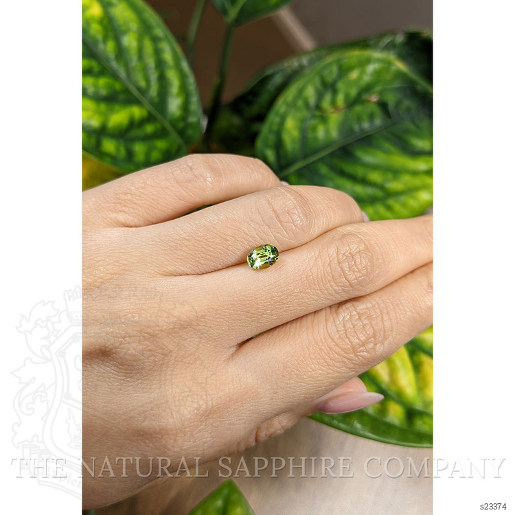 1.25 Ct. Yellowish Green Sapphire from Madagascar