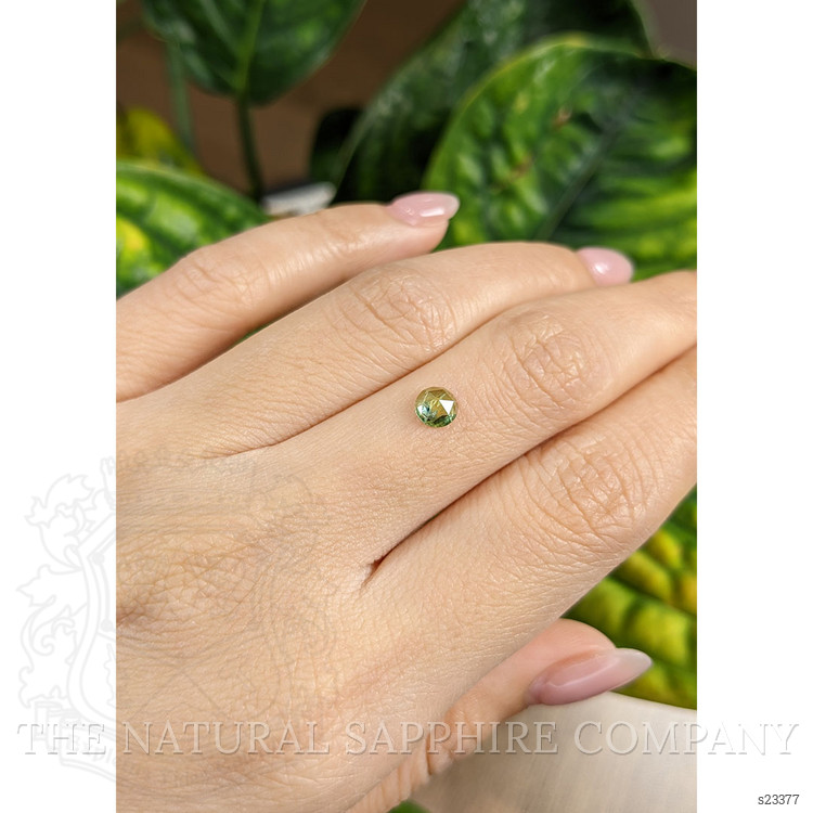 0.54 Ct. Green Sapphire from Montana