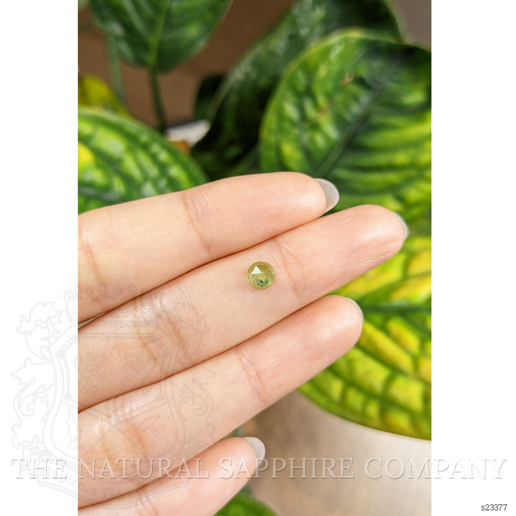 0.54 Ct. Green Sapphire from Montana