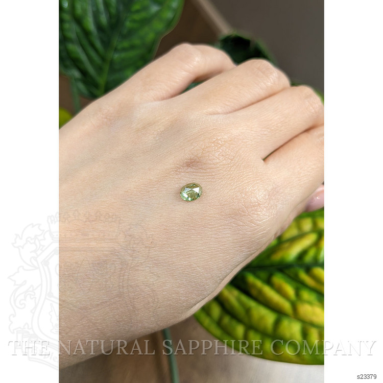 0.71 Ct. Yellowish Green Sapphire from Montana
