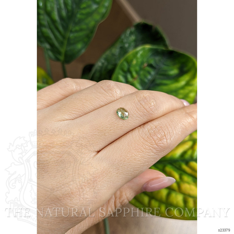 0.71 Ct. Yellowish Green Sapphire from Montana