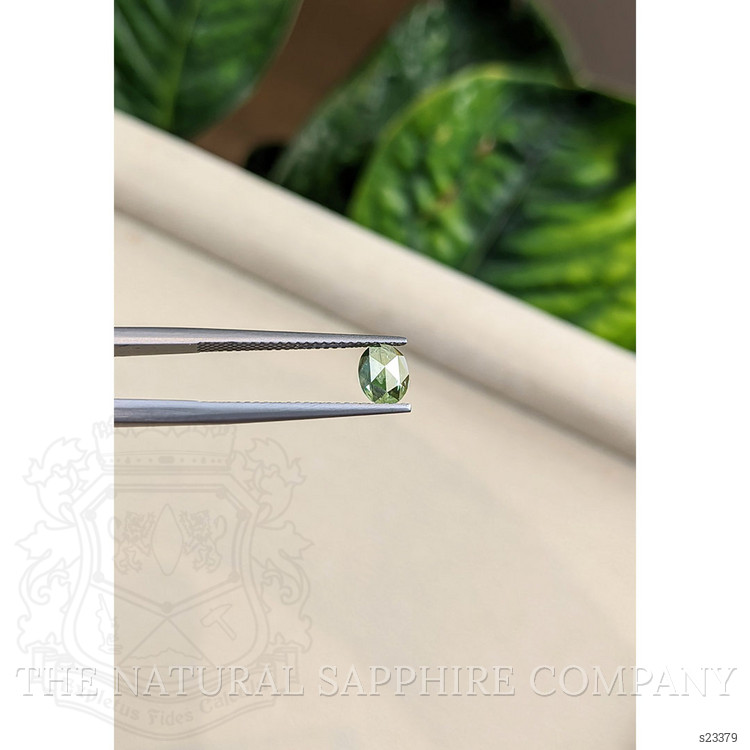0.71 Ct. Yellowish Green Sapphire from Montana