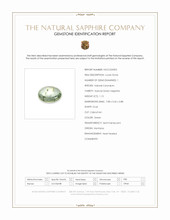 Jewelry Scan Report