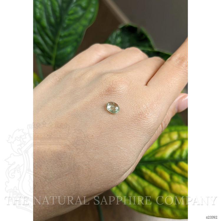 1.15 Ct. Green Cabochon Sapphire from Montana