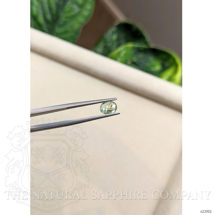 1.15 Ct. Green Cabochon Sapphire from Montana